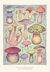 Fun, Fun, Fungi