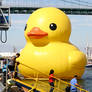 Giant Rubber Duck