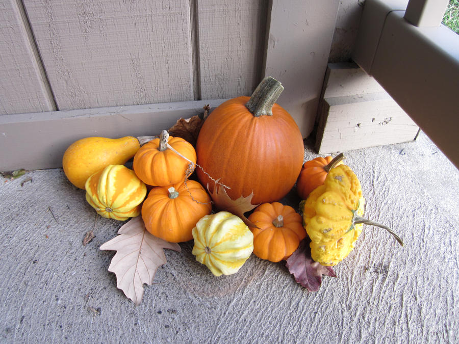 Teeny Pumpkins by MillyT