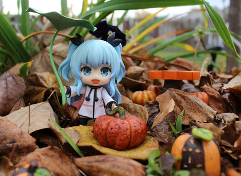 Noel's Fall Pumpkin Hunt