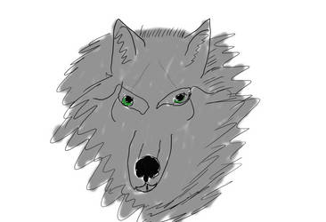 Da Wolf