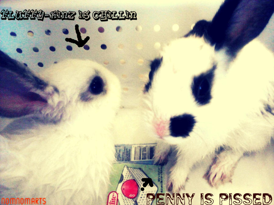 Deviantart Rabbit Bath The Bunnies Had A bath by NomNomArts on DeviantArt