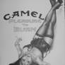 Camel Pin-up