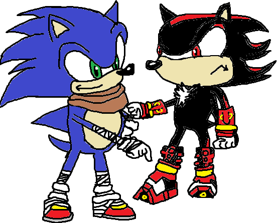 Sonic vs Shadow