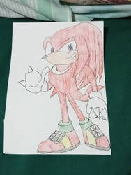 Knuckles The Echidna