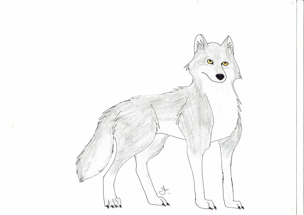 Wolf Simpl Simple Wolf by Hydrona1993 on DeviantArt