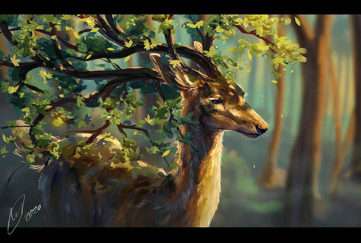 Nature deer