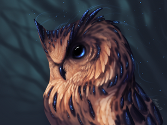 Magic owl