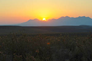 Sunset over the Fynbos