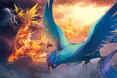 PKMN: Legendary Birds