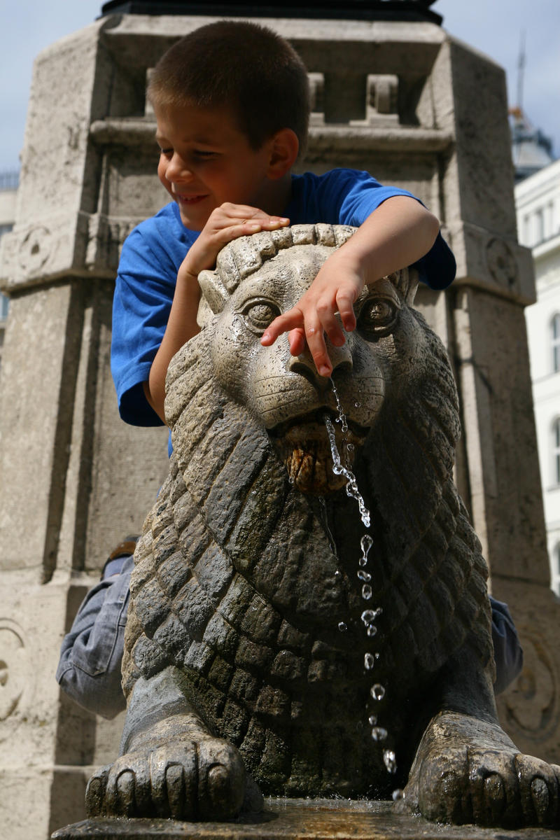 stone lion