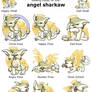 Leopets: Angel Sharkaw