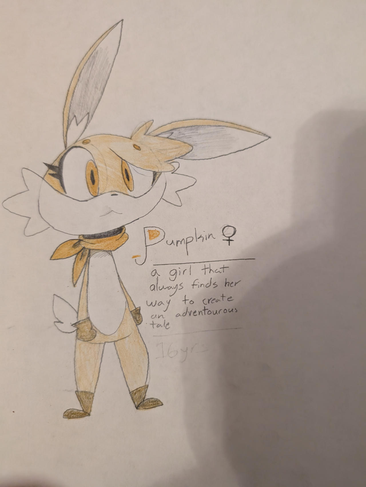 Pumpkin the Rabbit COLORED!! by BittyByBun on DeviantArt