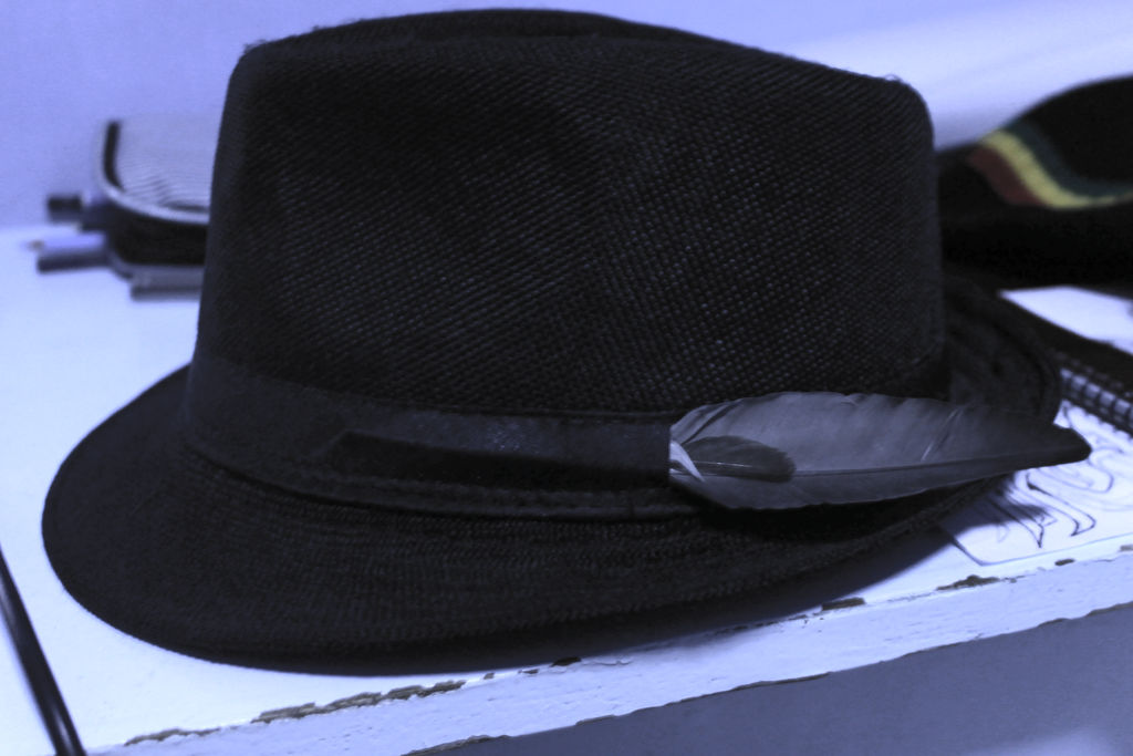 Feather(s) on a Fedora