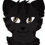 DarkStripe