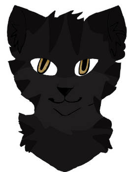 DarkStripe