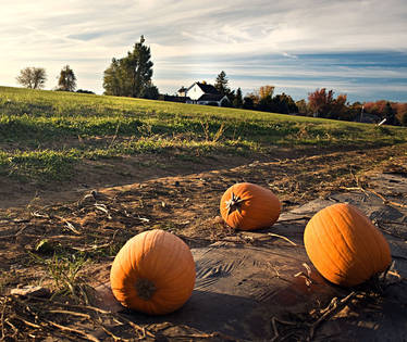 Fall in New England