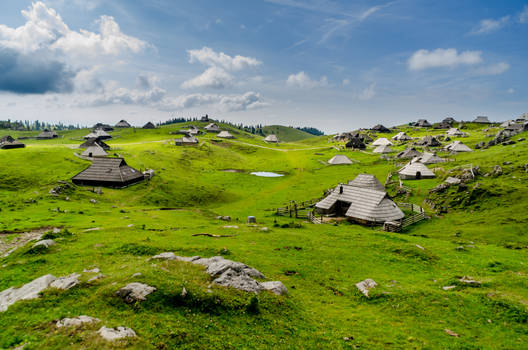 Velika Planina