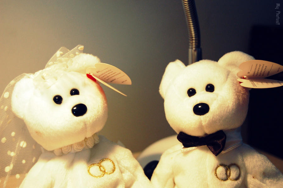 In Stuffed Animal Marriage...