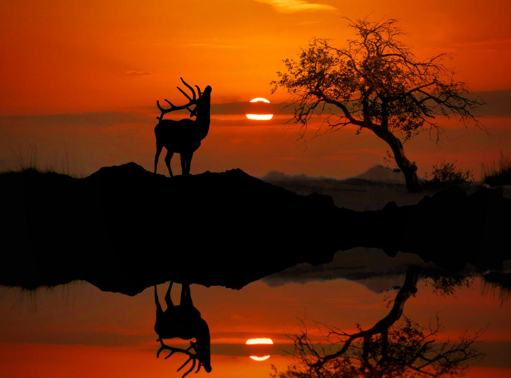 Deviantart Nature Call Call Of Nature by vidmulia on DeviantArt