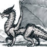 Western Dragon Sketch