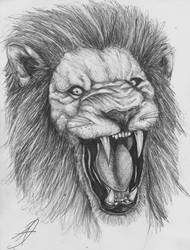 lion sketch