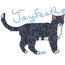 Jayfeather