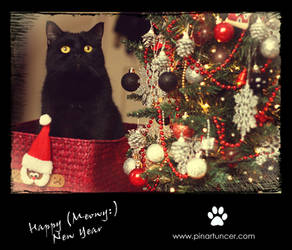 happy meowy year - Shagrath