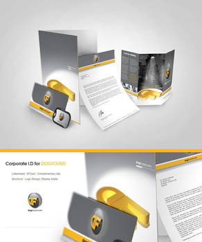 Dogfound Corp identity