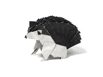 Hedgehog - Yudai Imai