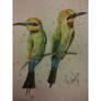 Tropical Birds in Watercolour