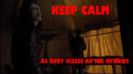 Keep Calm 4 by Hellraiser-89