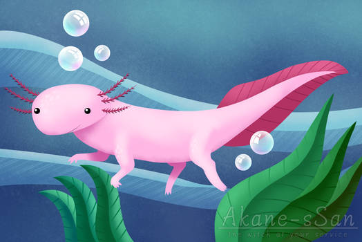 Little Axolotl