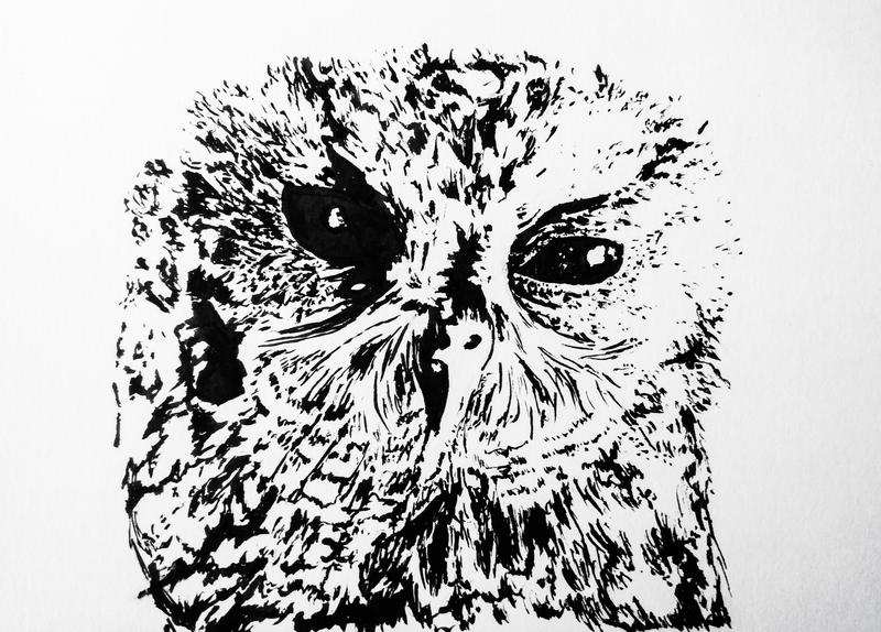 Little blind owl made with ink