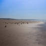 Costa da Caparica