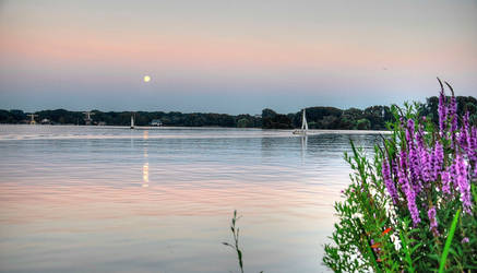 Kralingsplas ( lake ) rotterdam