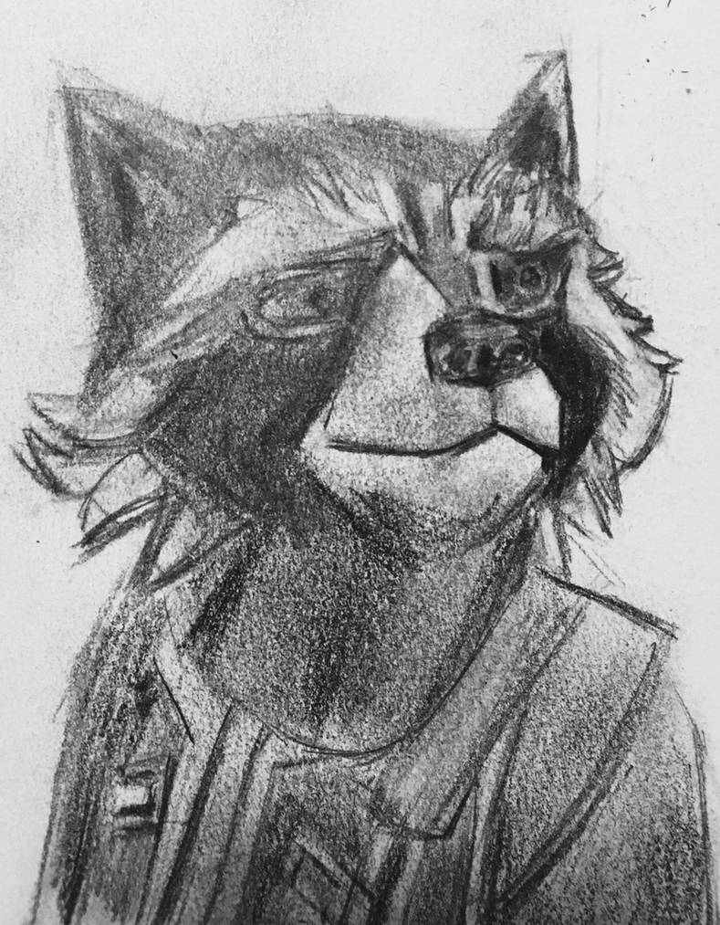 Rocket Raccoon by CaptainEdwardTeague on DeviantArt