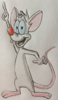 Pinky the mouse