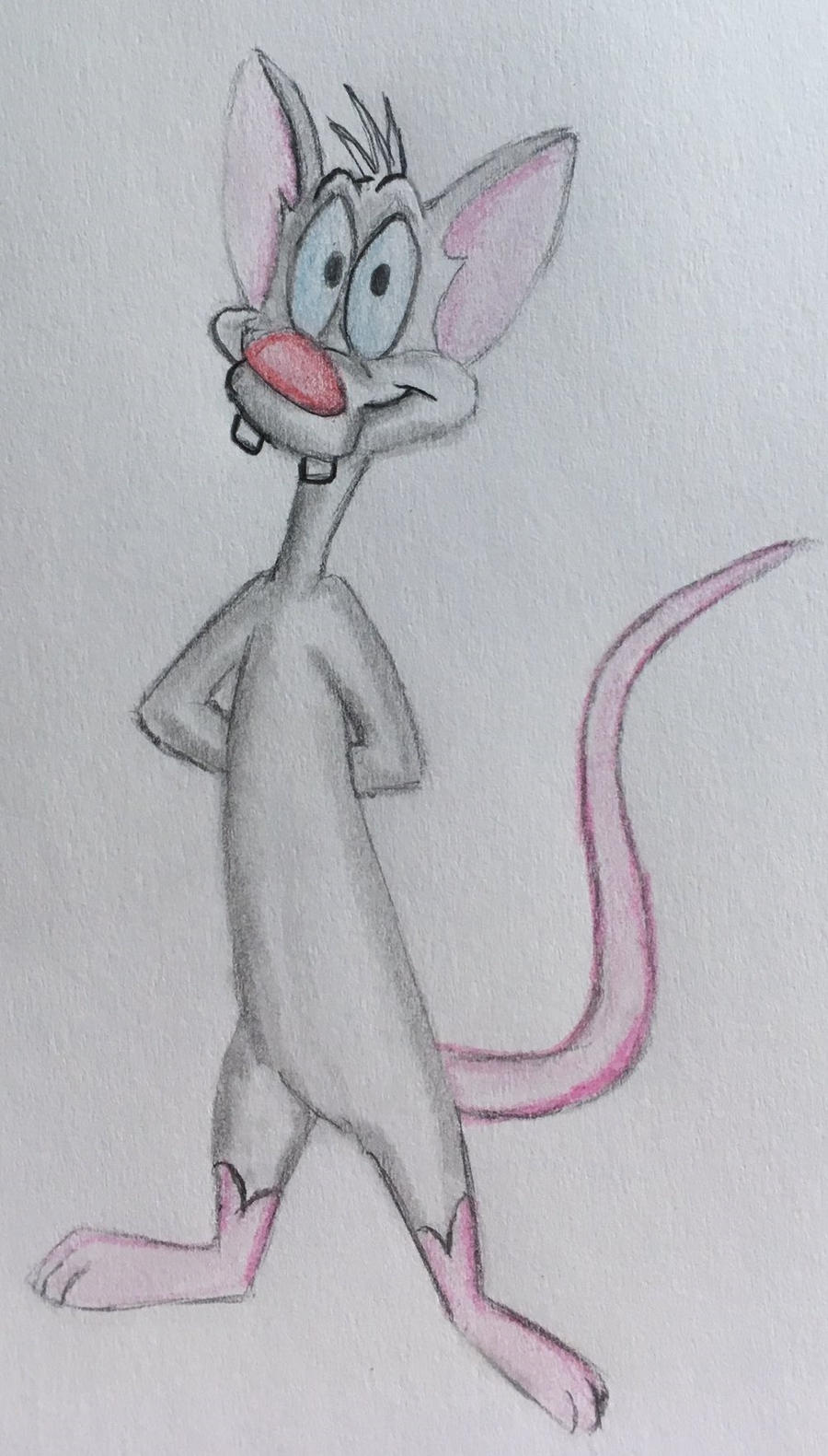 Pinky the Mouse by CaptainEdwardTeague on DeviantArt