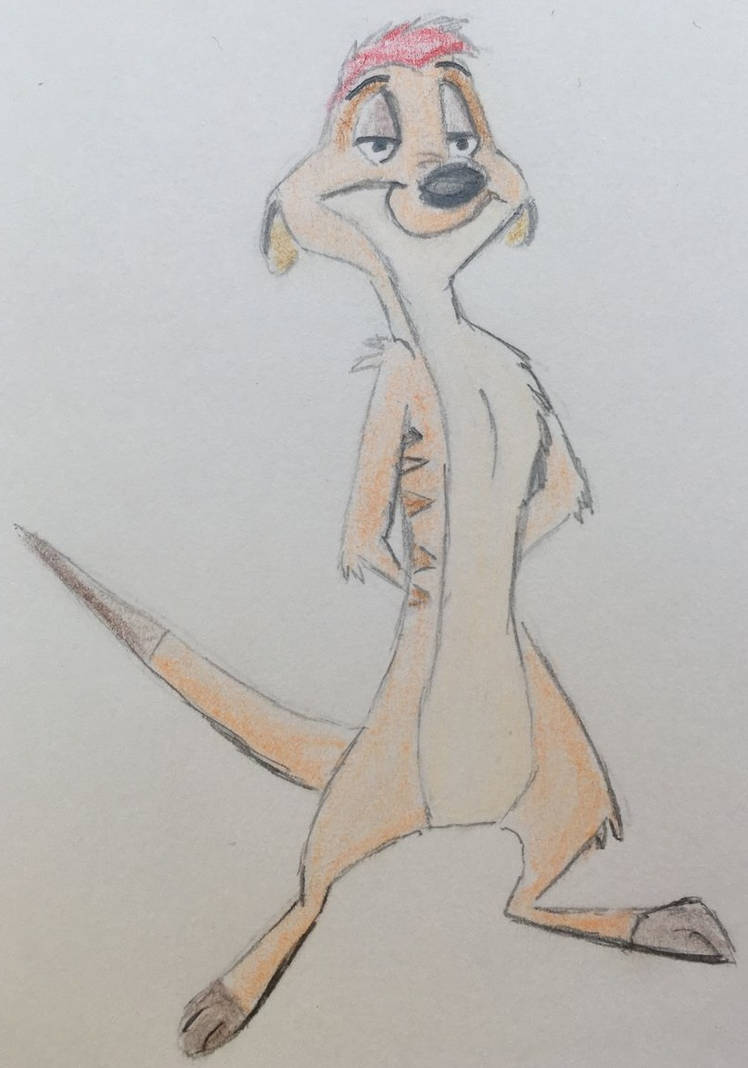 Timon by CaptainEdwardTeague on DeviantArt
