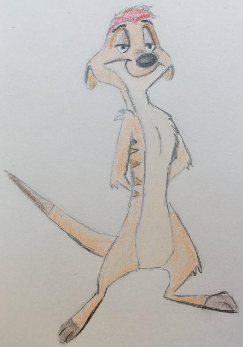 Timon by CaptainEdwardTeague on DeviantArt