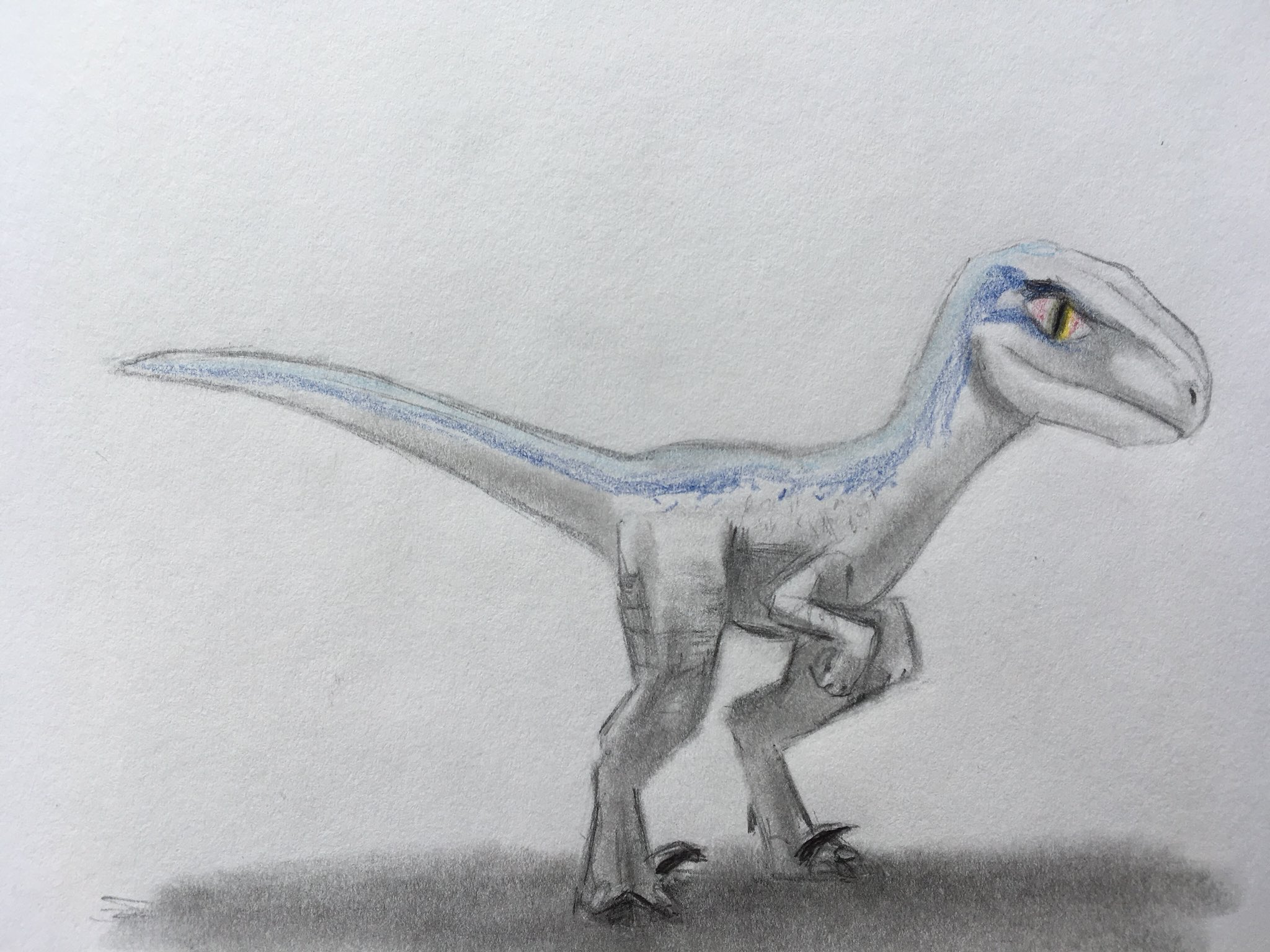 Baby Blue From Jurassic World By Captainedwardteague On Deviantart