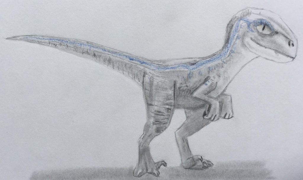 Baby Blue From Jurassic World Redrawn By Captainedwardteague On Deviantart