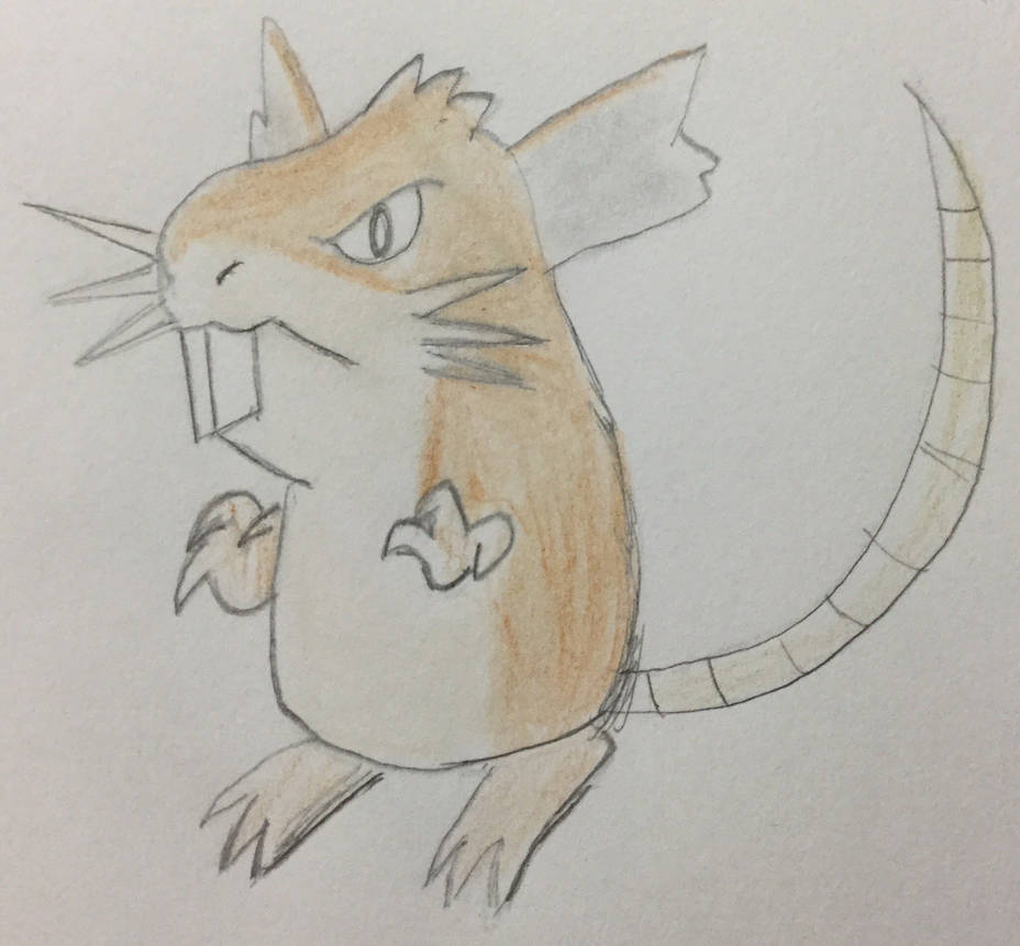 Raticate by CaptainEdwardTeague on DeviantArt