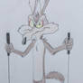 Wile E Coyote and Skiis