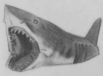 Bruce from JAWS 1975