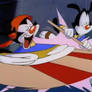 Never pause Animaniacs