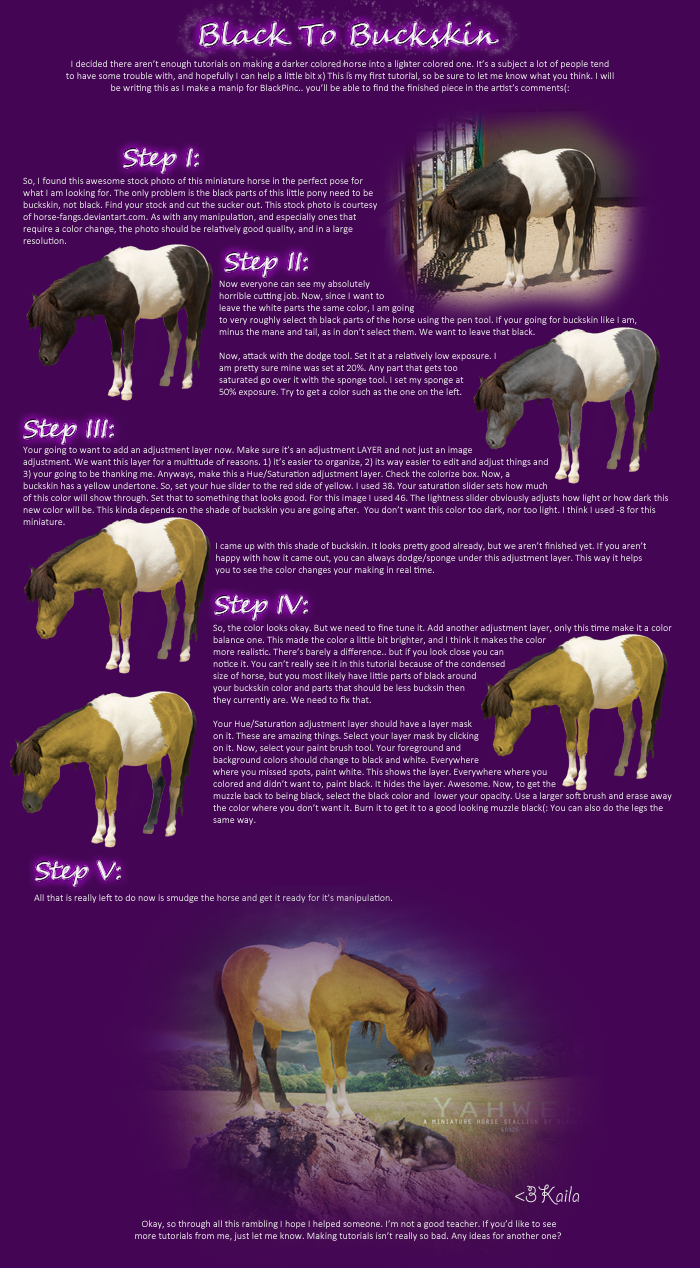 Black To Buckskin Tutorial