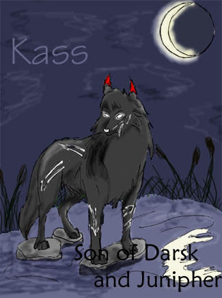 Kass -- Request by BeakyGirl16 on DeviantArt