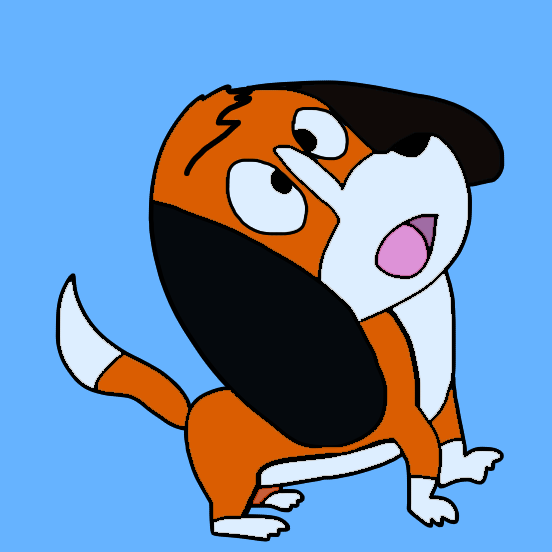 Beagle, Dog 8/20/22